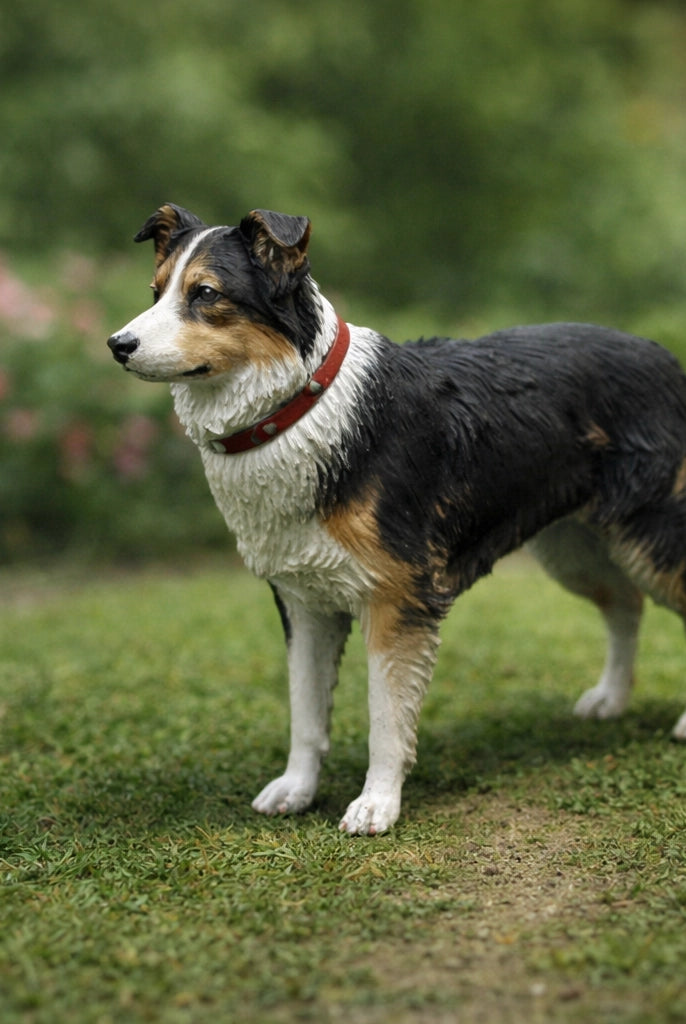 Loyal Border Collie Dog | Resin Animal Accessory