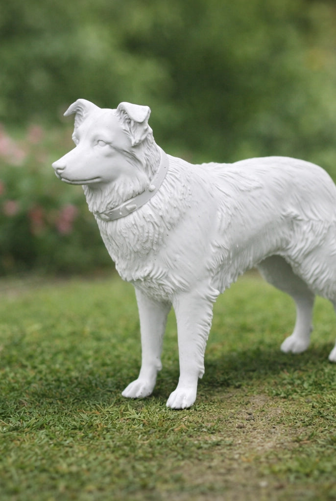 Loyal Border Collie Dog | Resin Animal Accessory