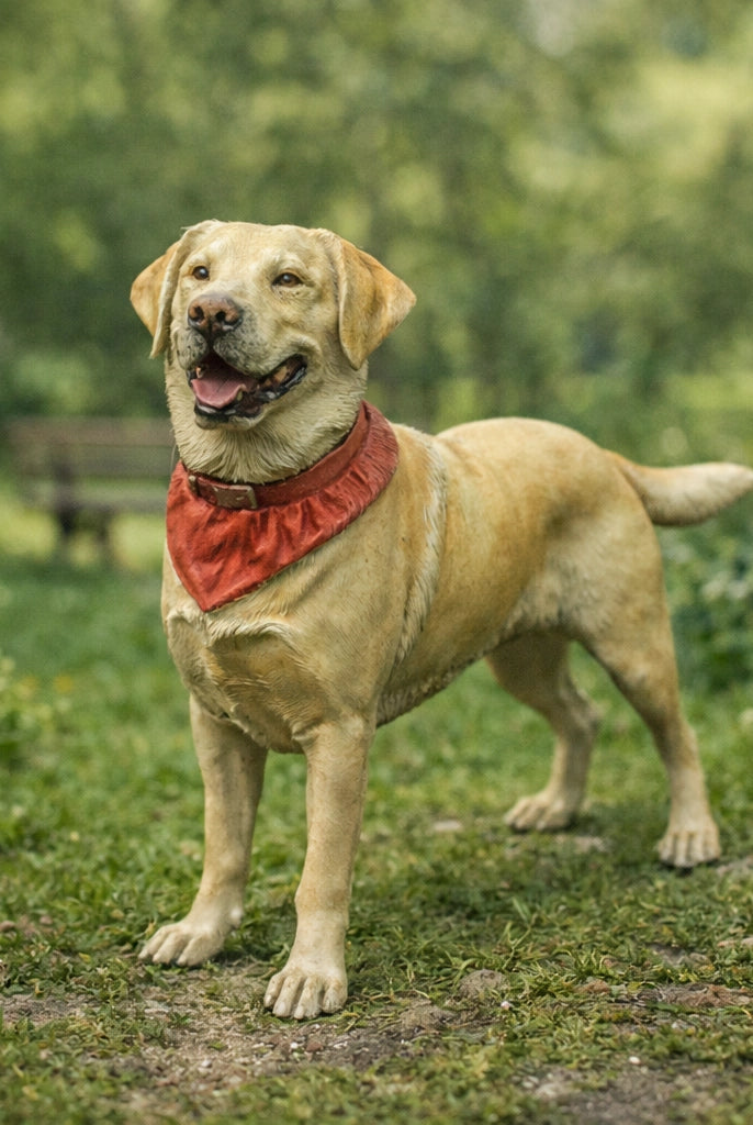 Labrador Dog | Resin Animal Accessory