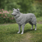Loyal Border Collie Dog | Resin Animal Accessory