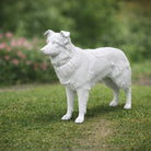 Loyal Border Collie Dog | Resin Animal Accessory