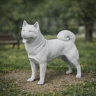 Majestic Akita Inu Dog | Resin Animal Accessory