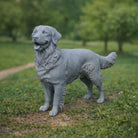 Golden Retriever Dog | Resin Animal Accessory
