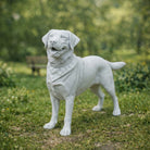 Labrador Dog | Resin Animal Accessory