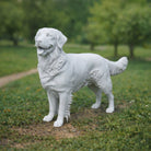 Golden Retriever Dog | Resin Animal Accessory